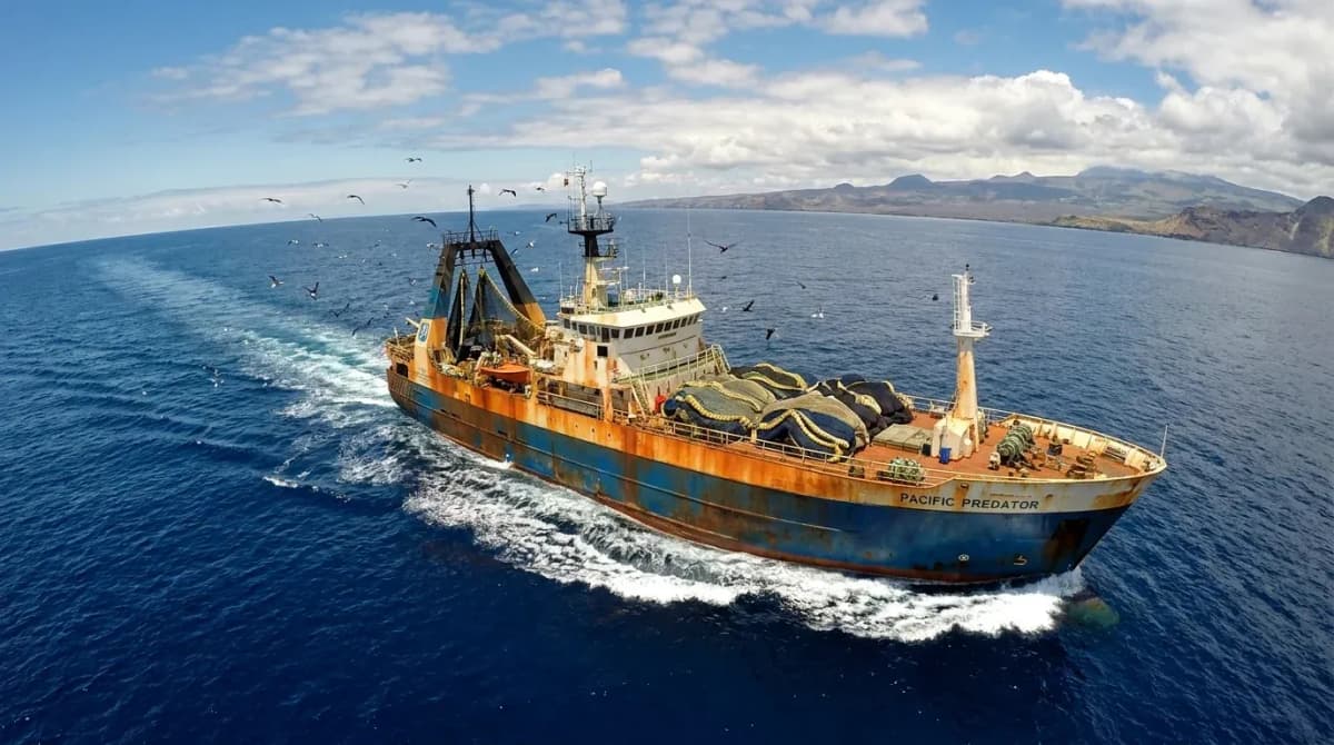 Ecuador Just Dropped a Bombshell on the Global Tuna Industry — And It Could Save the Oceans